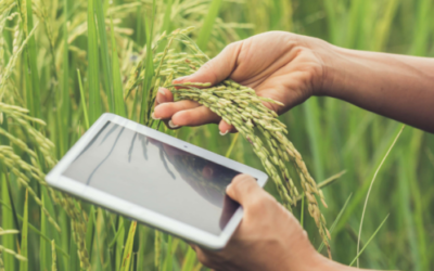 The rise of Smart Agriculture